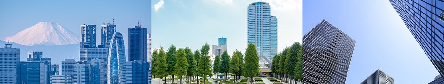 地方公会計学会